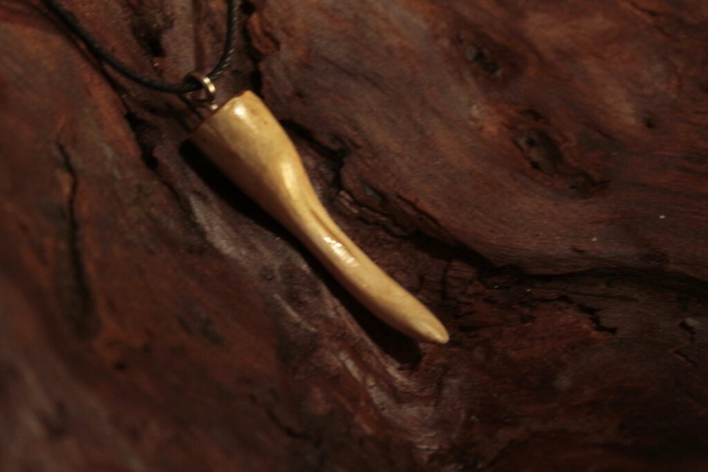 Pendentif en forme de corne en bois clair poli, sur une écorce sombre