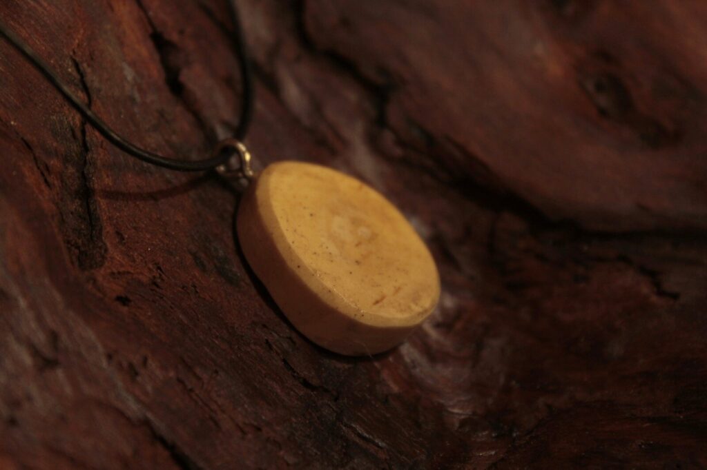Pendentif disque en bois clair, sur une écorce sombre